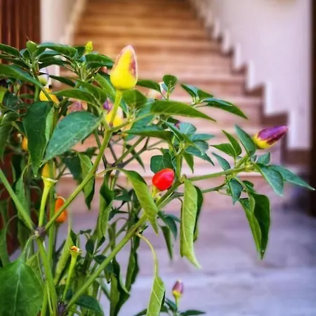 Bed and breakfast Le Strazzigne