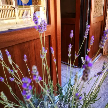 Le Strazzigne ベッド・アンド・ブレックファスト