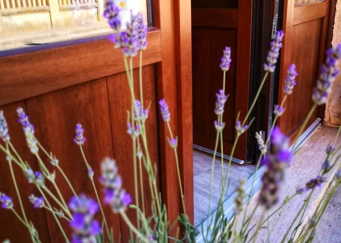 Le Strazzigne 住宿加早餐酒店